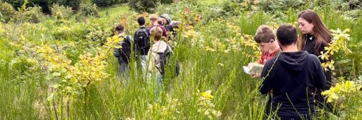 Schülerinnen und Schüler der IGP Paffrath erforschen Zukunftswald in Kürten