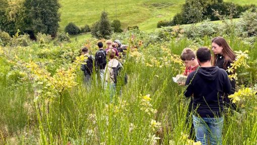 Schülerinnen und Schüler der IGP Paffrath erforschen Zukunftswald in Kürten