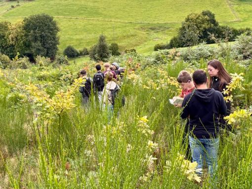 Schülerinnen und Schüler der IGP Paffrath erforschen Zukunftswald in Kürten