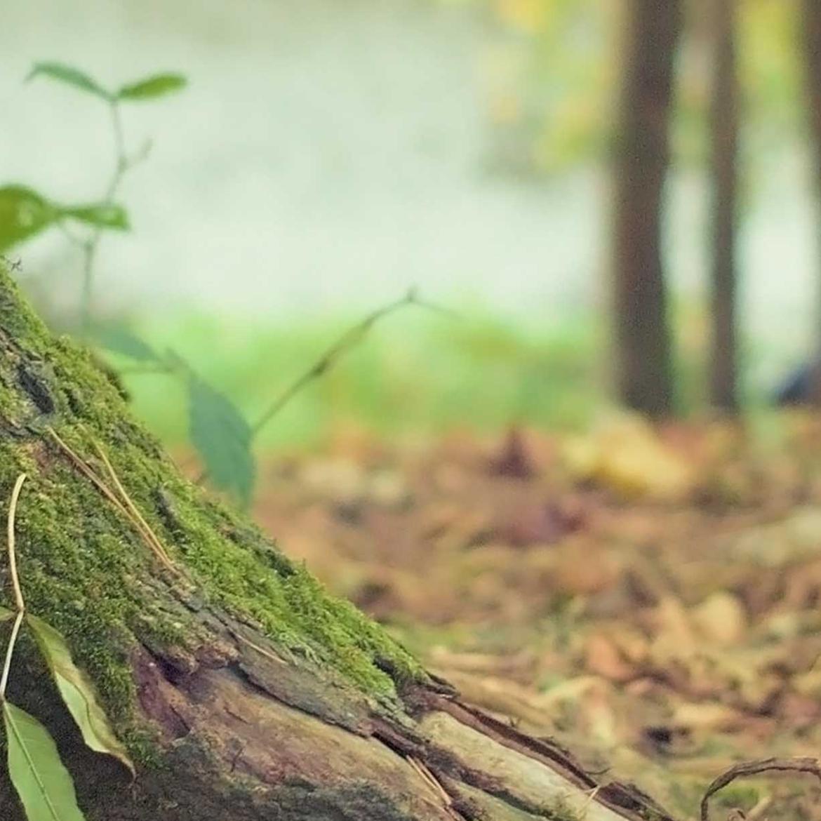 Was tun im Erbfall?  Die wichtigsten Schritte nach dem Todesfall