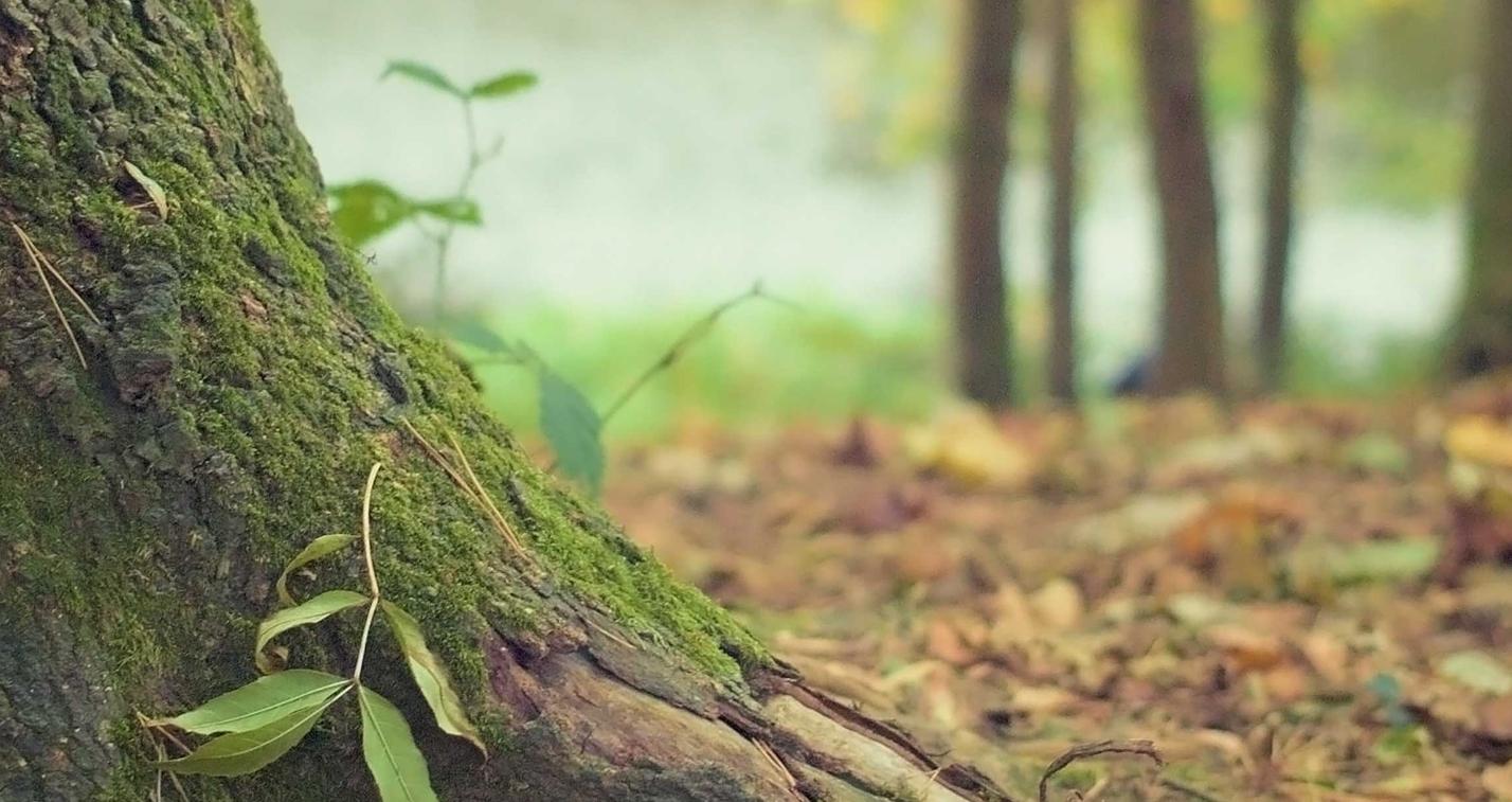 Was tun im Erbfall?  Die wichtigsten Schritte nach dem Todesfall