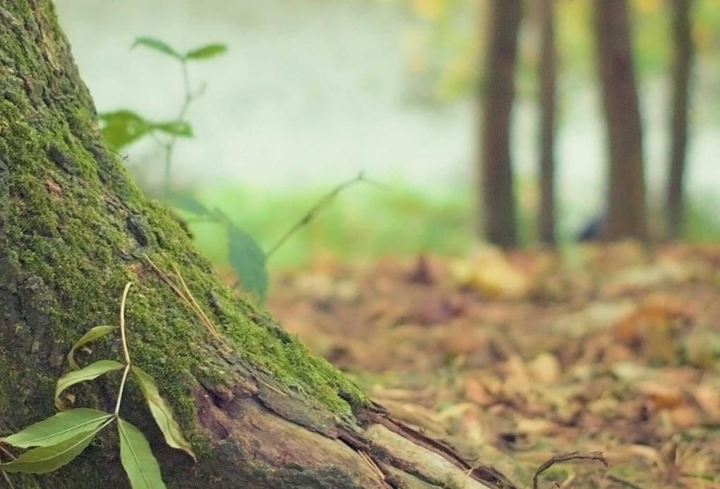 Was tun im Erbfall?  Die wichtigsten Schritte nach dem Todesfall